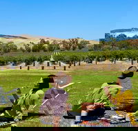 Private Picnic and Wine Tasting Experience in Barossa Valley - Accommodation Broome