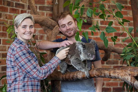 Private Tour: Blue Mountains Day Trip From Sydney - Accommodation Broome 0