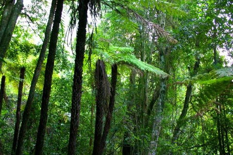 Private Tour: Blue Mountains Day Trip From Sydney - Accommodation Broome 4