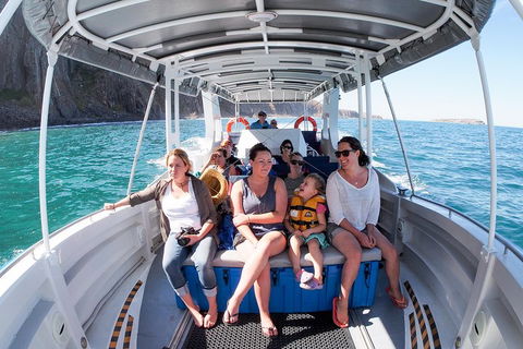 Seal Island Boat Tour From Victor Harbor - Accommodation Broome 1