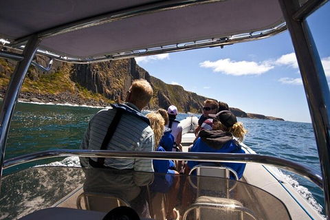 Seal Island Boat Tour From Victor Harbor - Accommodation Broome 2