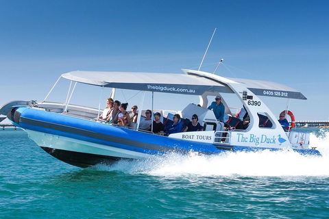 Seal Island Boat Tour From Victor Harbor - Accommodation Broome 3