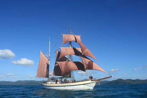 Sydney Harbour Tall Ship Whale & Sail - Whale Watching Cruise - Accommodation Broome 1