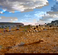 Mount Conner 4WD Small Group Tour from Ayers Rock including Dinner - Accommodation Broome