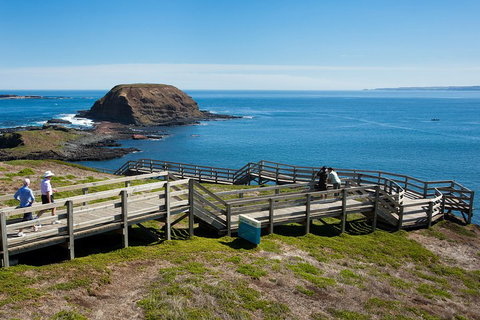 Melbourne Combo: Great Ocean Road, Puffing Billy, Moonlit Sanctuary & Penguins - Accommodation Broome 5