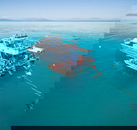 Ocean Freedom Great Barrier Reef Personal Luxury Snorkel  Dive Cruise Cairns - Accommodation Broome