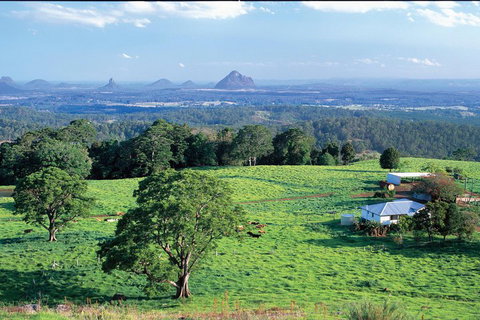 Full Day Sunshine Coast Hinterland Luxury Small Group Tour From Brisbane - Accommodation Broome 2