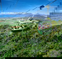 Best of Kuranda Including Skyrail Kuranda Scenic Railway and Rainforestation - Accommodation Broome