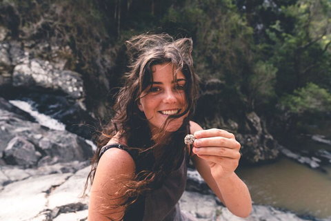 Springbrook AndTamborine Rainforest Tour Incl Natural Bridge And Glow Worm Cave - Accommodation Broome 1