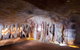 Springbrook AndTamborine Rainforest Tour Incl Natural Bridge And Glow Worm Cave - thumb 4
