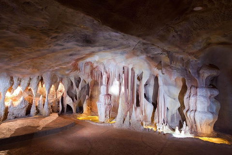 Springbrook AndTamborine Rainforest Tour Incl Natural Bridge And Glow Worm Cave - Accommodation Broome 4