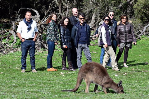 2-Day Kangaroo Island 4WD Small-Group Tour From Adelaide - Accommodation Broome 1