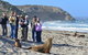 2-Day Kangaroo Island 4WD Small-Group Tour From Adelaide - thumb 3