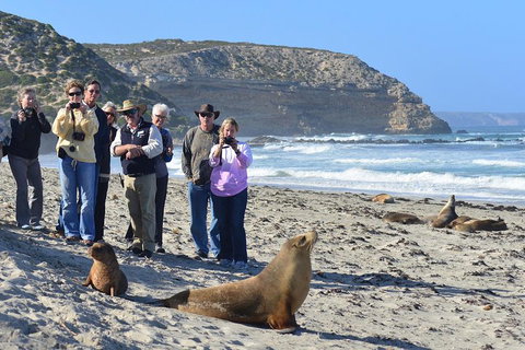 2-Day Kangaroo Island 4WD Small-Group Tour From Adelaide - Accommodation Broome 3