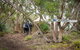 2-Day Kangaroo Island 4WD Small-Group Tour From Adelaide - thumb 5