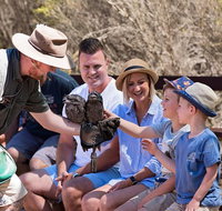 2 day Ultimate Kangaroo Island with return ferry - Accommodation Broome