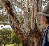 NEW TOUR - Kangaroo Island Road to Recovery Tour 1 Day/1 Night - Accommodation Broome