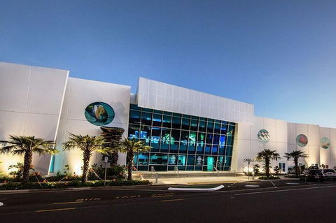 Cairns Aquarium Admission Ticket - Accommodation Broome 4