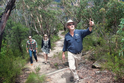 Small-Group Blue Mountains Tour With Bush Walks And Featherdale Wildlife Park - Accommodation Broome 0