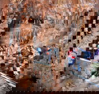 Blue Mountains Private Tour from Sydney with Jenolan Caves