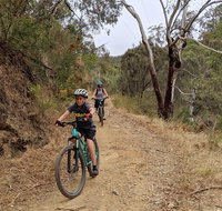 Mount Lofty Descent Bike Tour from Adelaide - Accommodation Broome