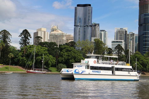 Lone Pine Koala Sanctuary Admission With Brisbane River Cruise - Accommodation Broome 2
