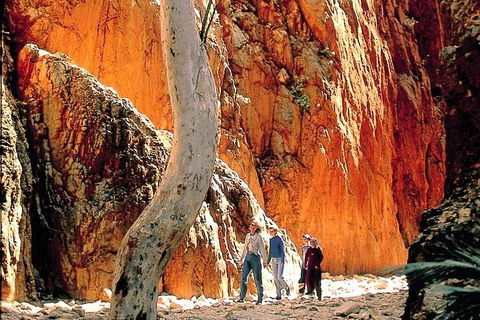 West MacDonnell Ranges Day Trip From Alice Springs - Accommodation Broome 3