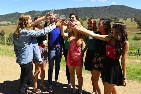 Hunter Valley Wine Tour From Sydney Incl Lunch, Cheese, Chocolate And Distillery - Accommodation Broome 3
