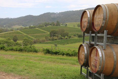 Hunter Valley Wine Tour From Sydney Incl Lunch, Cheese, Chocolate And Distillery - Accommodation Broome 5