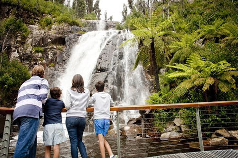 Lake Mountain Snow Trip Including Yarra Valley Chocolaterie From Melbourne - Accommodation Broome 0