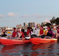 Brisbane River Guided Evening Tour by Kayak - Our Most Popular Tour - Accommodation Broome