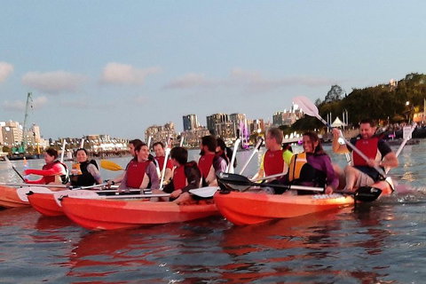 Brisbane River Guided Evening Tour By Kayak - Our Most Popular Tour - Accommodation Broome 0