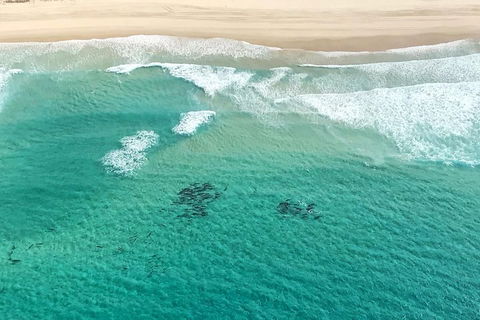 Coastal Helicopter Shared Flight - 20 Minutes - Accommodation Broome 4
