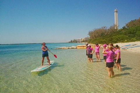 Golden Beach 1-Hour Stand-Up Paddleboard Hire On The Sunshine Coast - Accommodation Broome 1