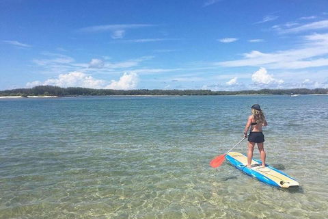 Golden Beach 1-Hour Stand-Up Paddleboard Hire On The Sunshine Coast - Accommodation Broome 4