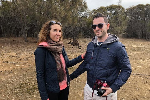 Kangaroo Island 4WD Tour - Best Of KI - Accommodation Broome 3