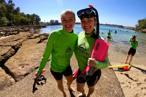 Manly Snorkel Trip And Nature Walk With Local Guide - Accommodation Broome 1