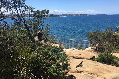 Manly Snorkel Trip And Nature Walk With Local Guide - Accommodation Broome 4