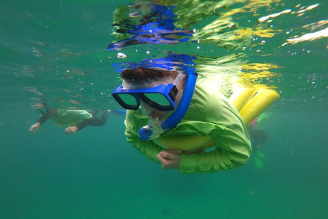 Manly Snorkel Trip And Nature Walk With Local Guide - Accommodation Broome 5