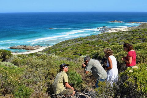 Margaret River Coastal And Wildlife Eco Trip From Busselton Or Dunsborough - Accommodation Broome 2